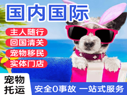 肥东白龙机场托运国际宠物托运 【国